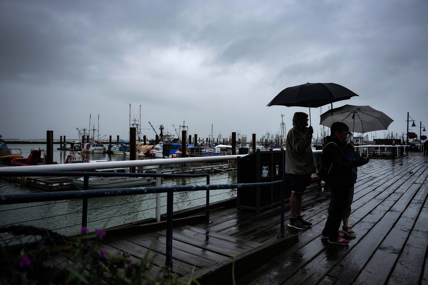 Strong winds, heavy rain and high river levels predicted for coastal and central B.C. | iNFOnews.ca Strong winds, heavy rain and high river levels predicted for coastal and central B.C. | iNFOnews.ca