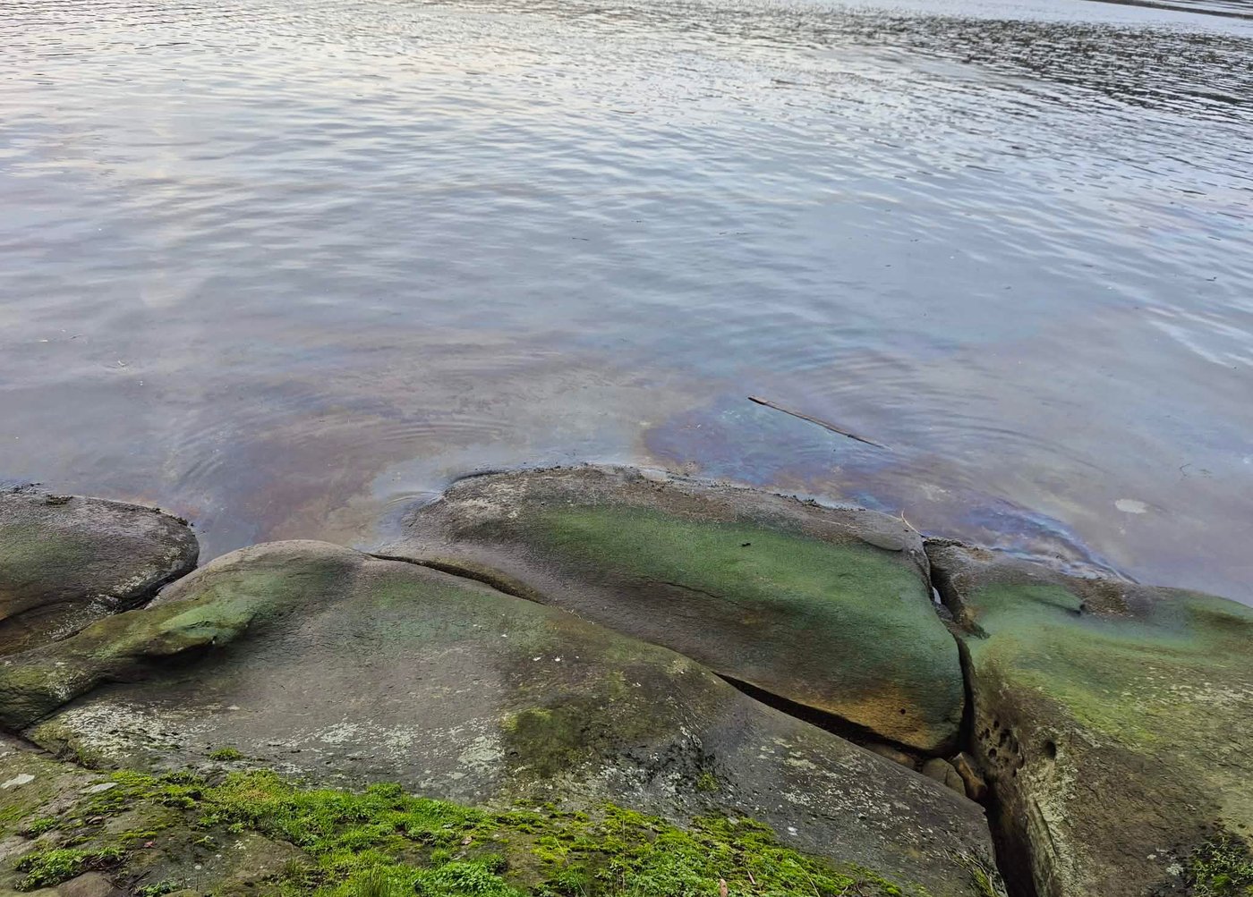 Cleanup underway after oily spill in waters near Nanaimo, B.C. | iNFOnews.ca