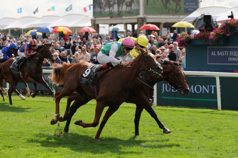 World's top-ranked racehorse Ombudsman beaten into 4th in Juddmonte International won by Item | iNFOnews.ca