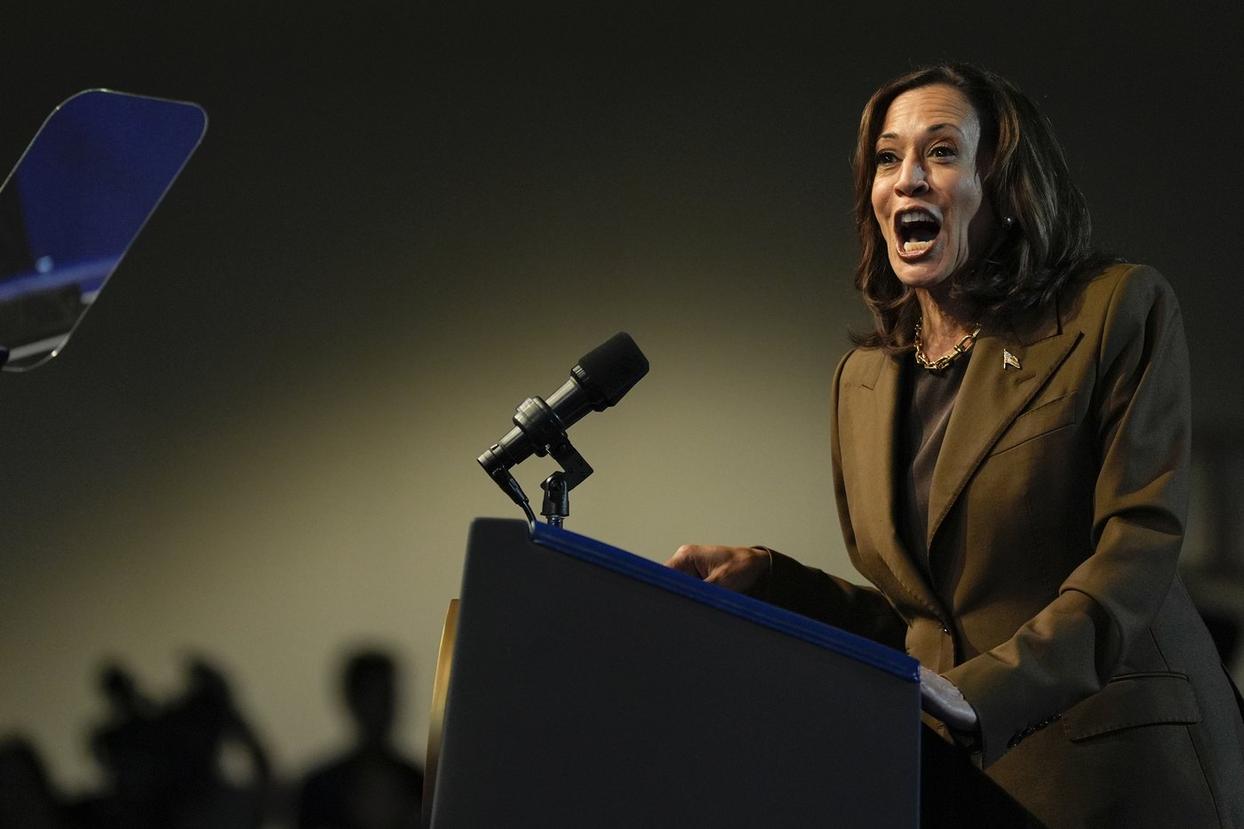 Harris trolls Trump at Vegas rally and LA fundraiser, says her crowds are 'pretty big' | iNFOnews.ca