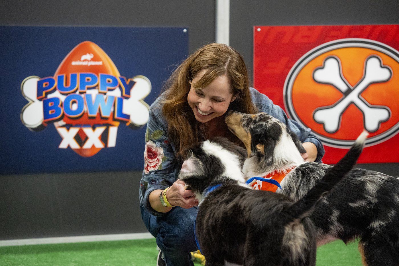 Meet the woman keeping the adorable pups happy at this year's 'Puppy Bowl' | iNFOnews.ca Meet the woman keeping the adorable pups happy at this year's 'Puppy Bowl' | iNFOnews.ca