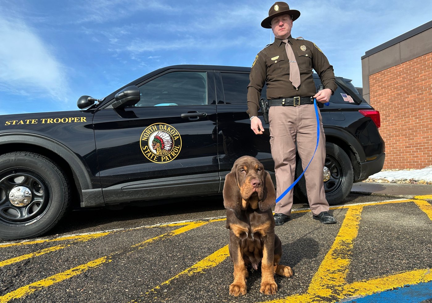 Bloodhounds in North Dakota are blazing a trail in the Midwest | iNFOnews.ca