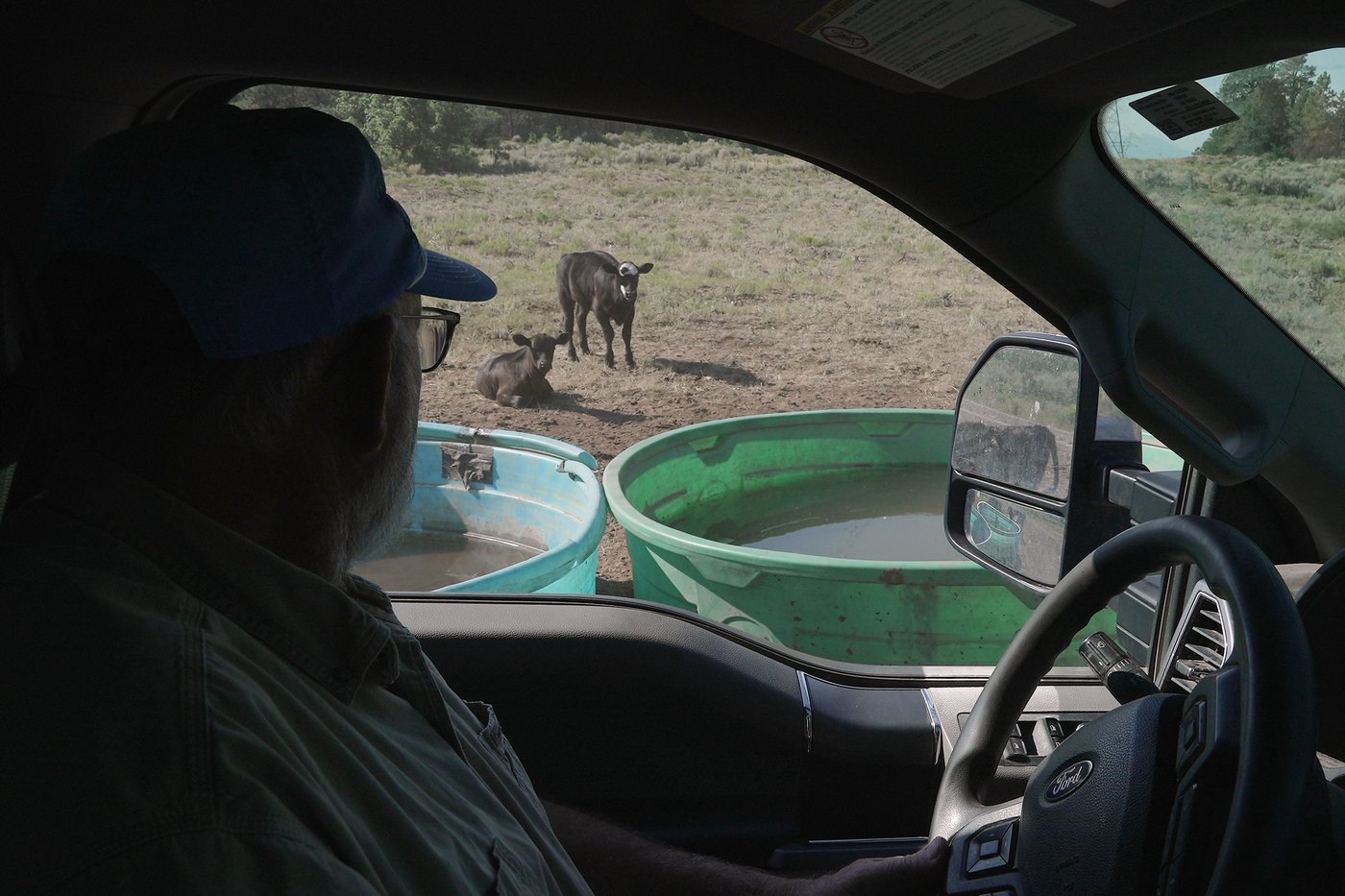 Water hauling is the new chore no rancher asked for | iNFOnews.ca Water hauling is the new chore no rancher asked for | iNFOnews.ca