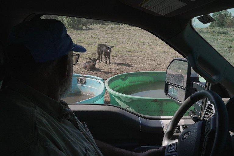 Water hauling is the new chore no rancher asked for | iNFOnews.ca
