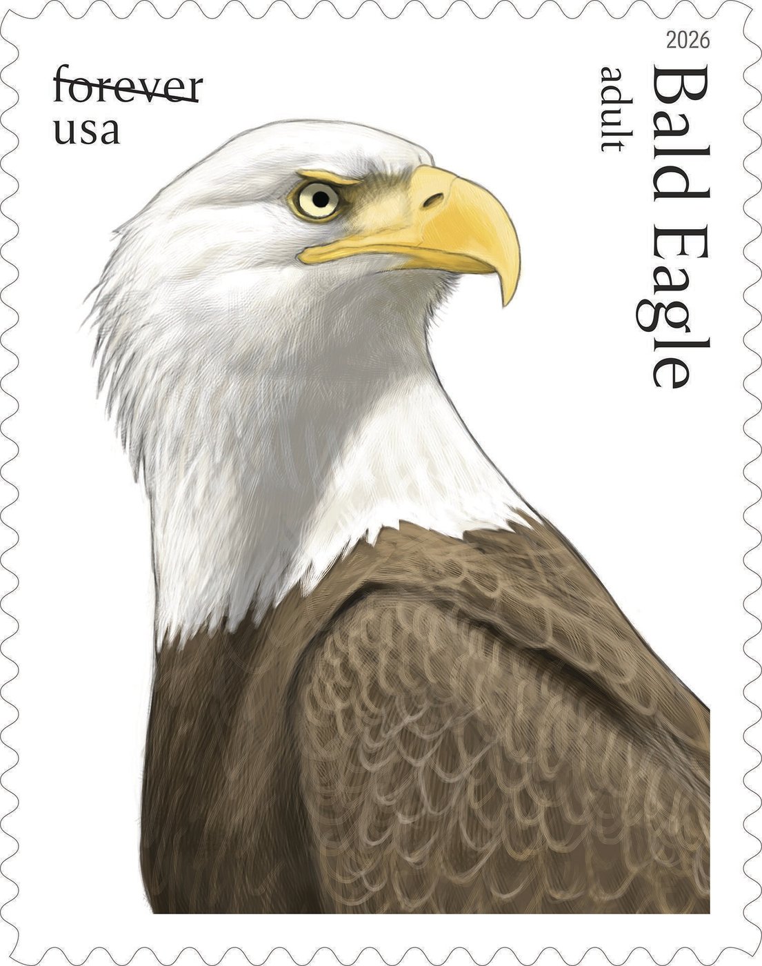 Postal Service releases special edition bald eagle stamps for America's 250th | iNFOnews.ca