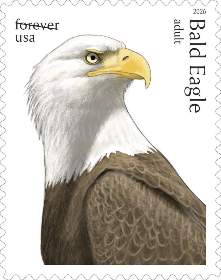 Postal Service releases special edition bald eagle stamps for America's 250th | iNFOnews.ca