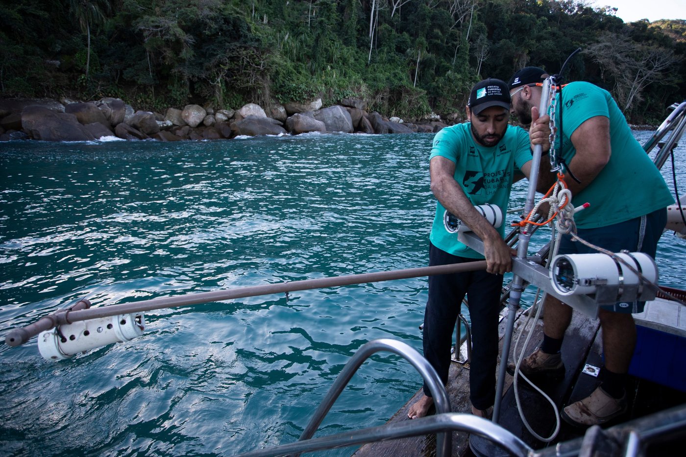 A Brazilian bay’s surprise shark nursery sparks conservation project | iNFOnews.ca