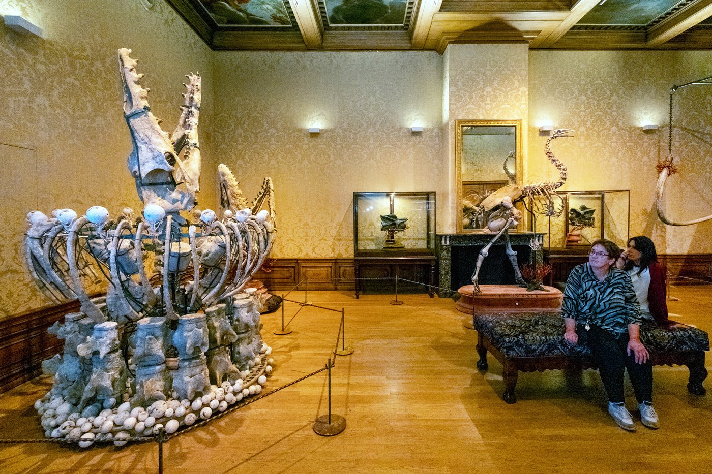 People enter cages while the animals seem free at a unique Amsterdam museum | iNFOnews.ca