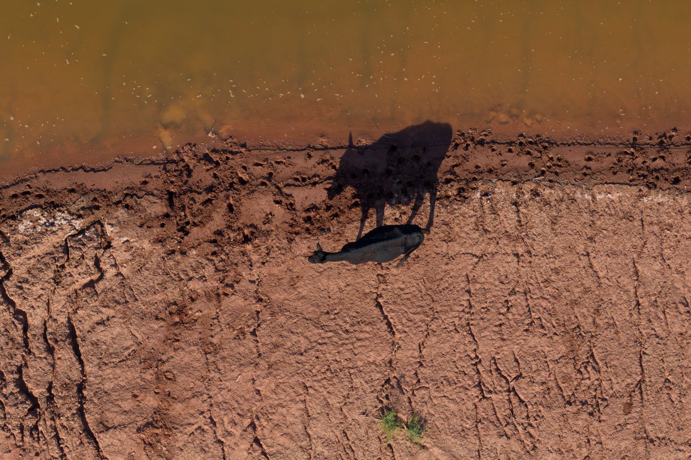 The top photos of the day by AP photojournalists | iNFOnews.ca