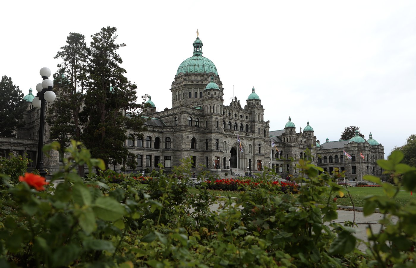 MLA wants to scrap B.C.'s Human Rights Code. Some constituents want her gone instead | iNFOnews.ca