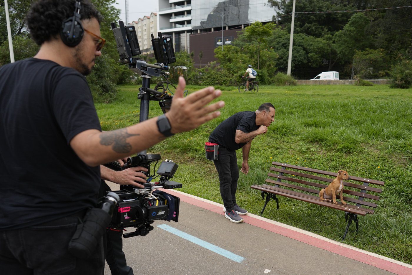 These Brazilian caramel-colored stray dogs were long overlooked. Now, they're having a major moment | iNFOnews.ca