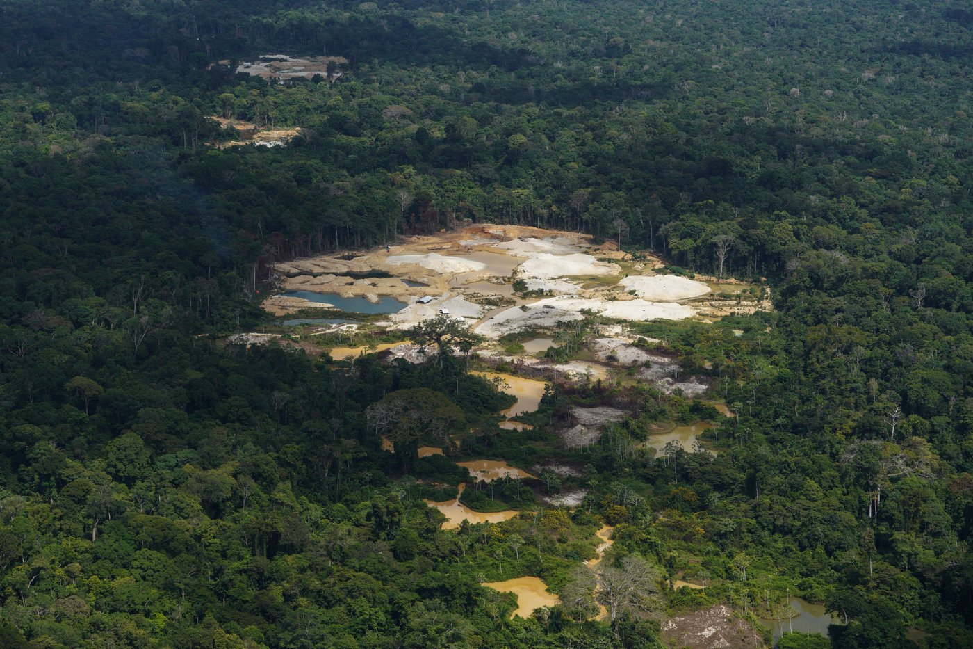 Takeaways from AP's report on how Suriname's Saamaka are fighting to protect their rainforest | iNFOnews.ca Takeaways from AP's report on how Suriname's Saamaka are fighting to protect their rainforest | iNFOnews.ca