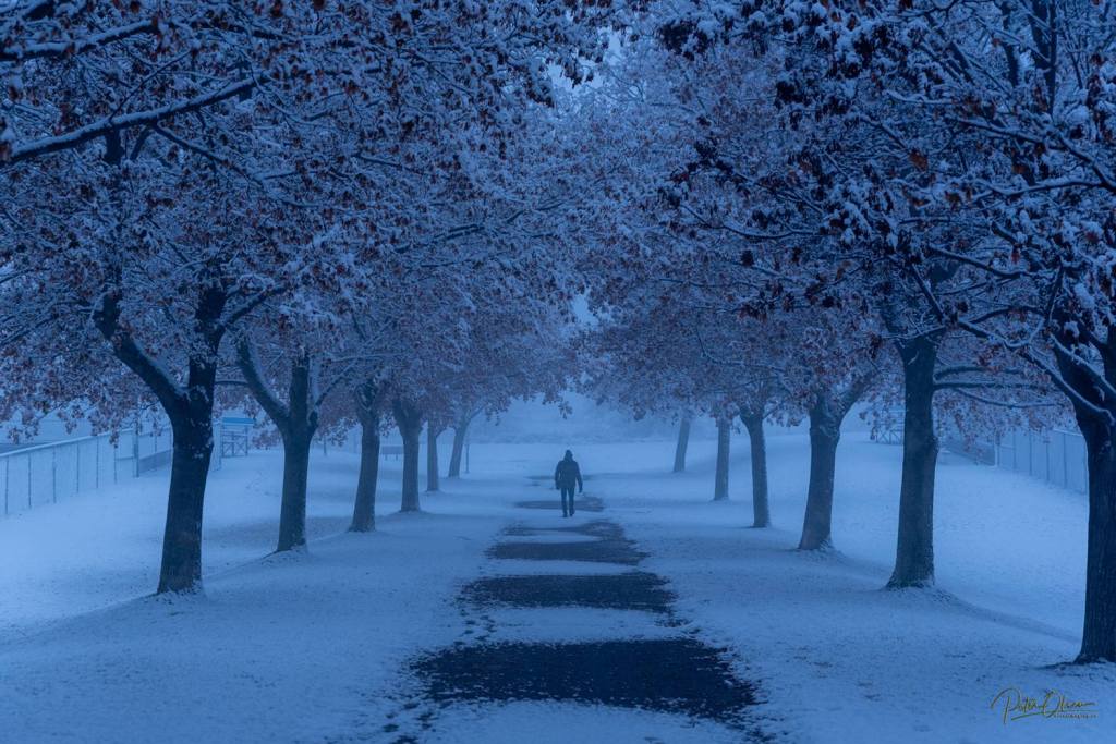 iN PHOTOS: Fog creates eerie moods in Kamloops, Okanagan | iNFOnews.ca