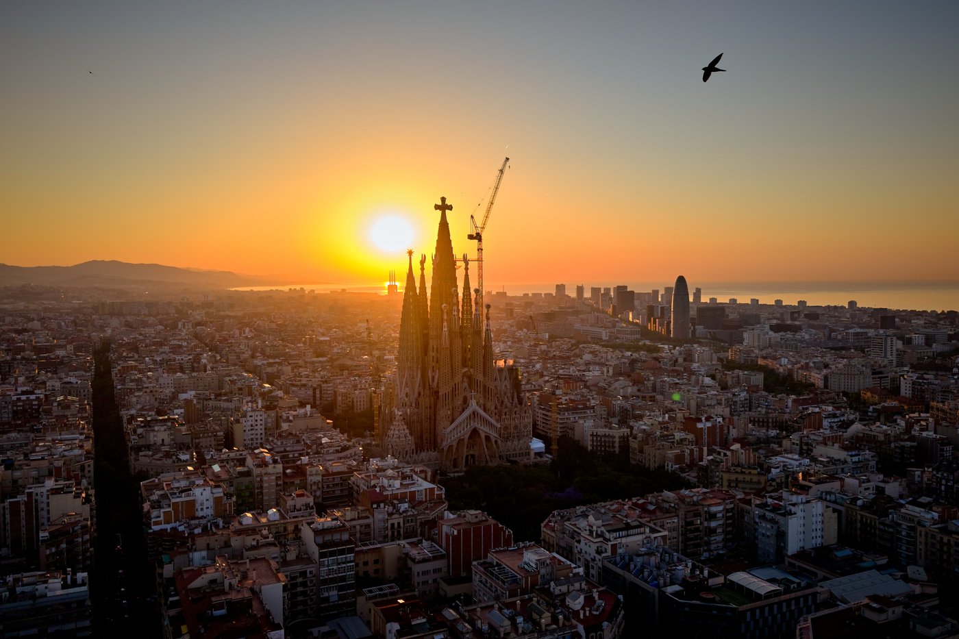 Photos of Barcelona’s Sagrada Familia as Gaudí basilica rises before Pope Leo XIV’s visit | iNFOnews.ca