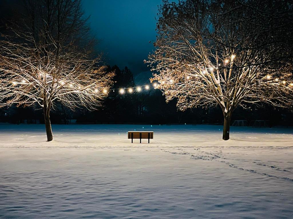 iN PHOTOS: Scenes of a white Christmas in the Thompson-Okanagan | iNFOnews.ca iN PHOTOS: Scenes of a white Christmas in the Thompson-Okanagan | iNFOnews.ca