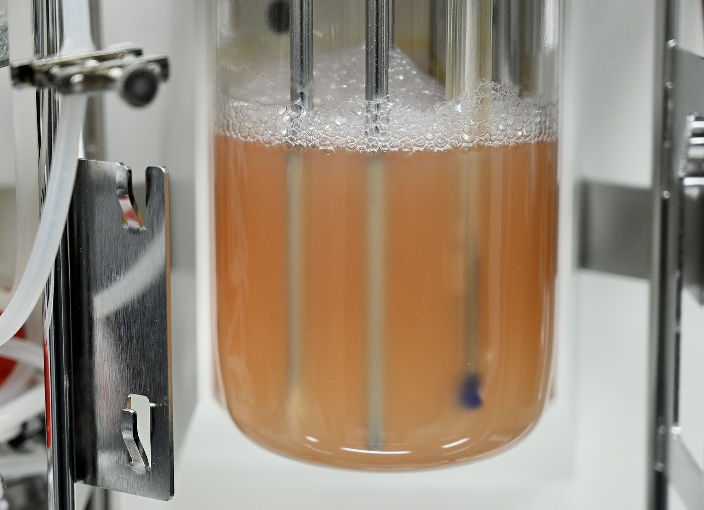 Inside the Montreal lab working to prepare Canada against future pandemics | iNFOnews.ca