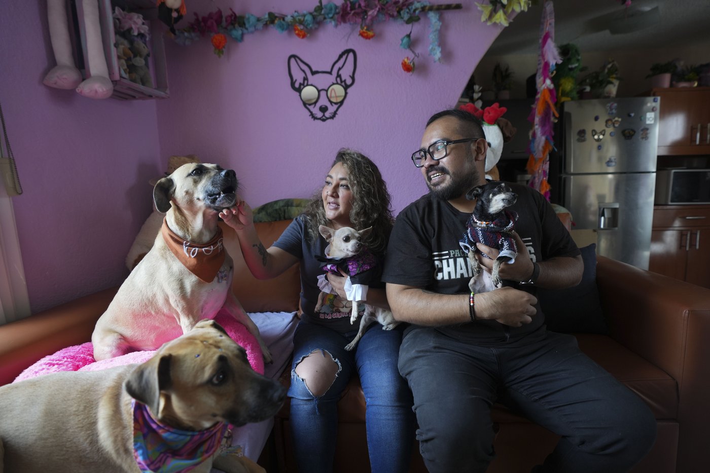 Pets join Mexico's Day of the Dead celebrations, as Fido and Tiger get their own altars | iNFOnews.ca Pets join Mexico's Day of the Dead celebrations, as Fido and Tiger get their own altars | iNFOnews.ca