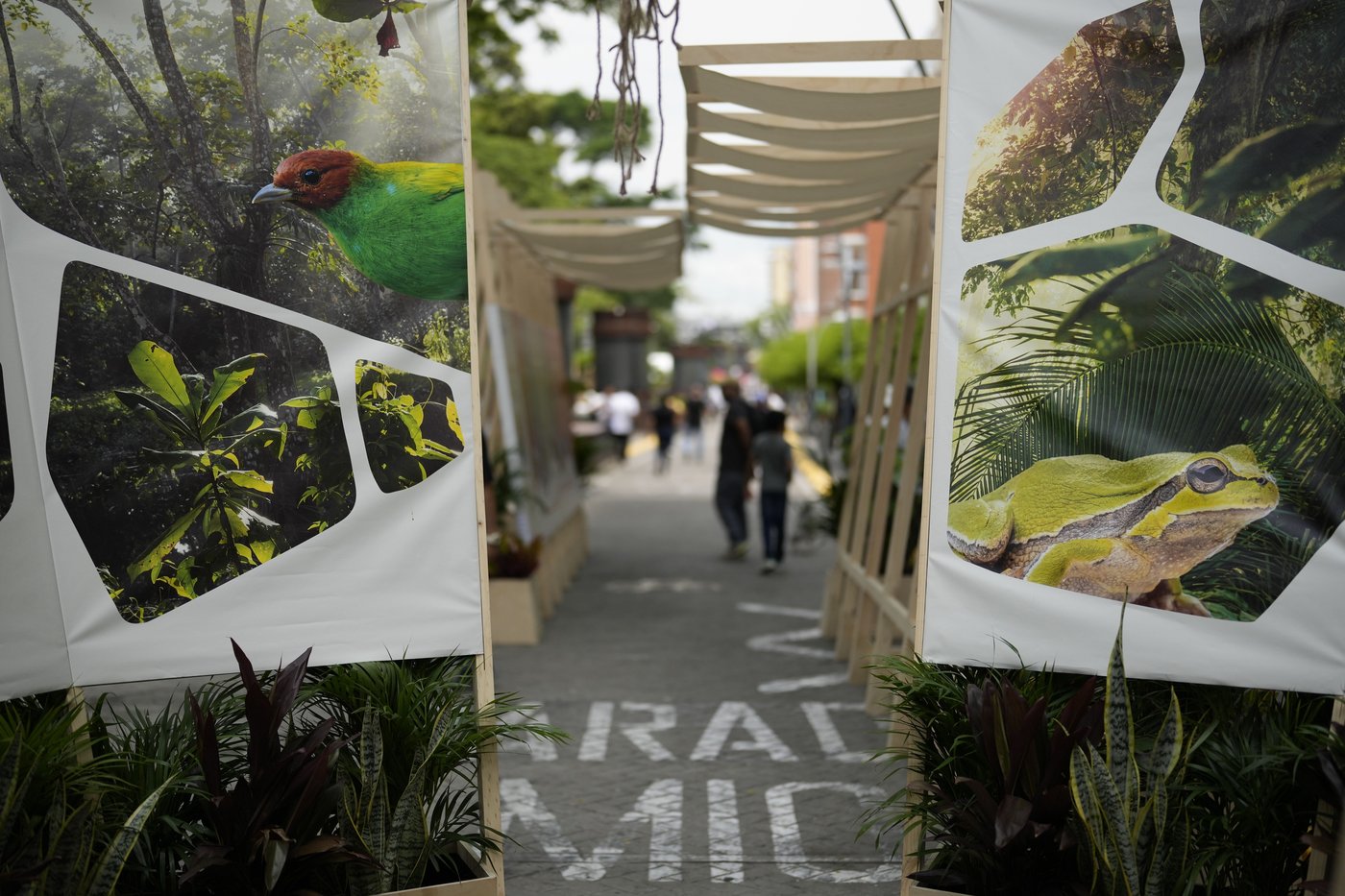 Slight progress in global biodiversity protection efforts but some species decline, new reports find | iNFOnews.ca Slight progress in global biodiversity protection efforts but some species decline, new reports find | iNFOnews.ca