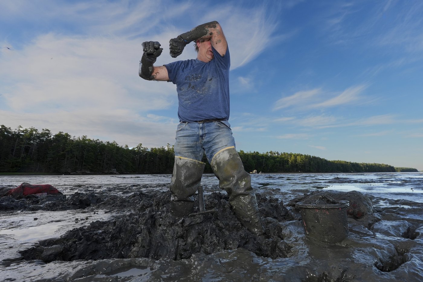 Invasive green crabs are bad for the environment, so New Englanders are starting to eat more of them | iNwine