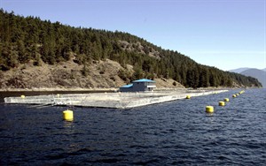CP22376678