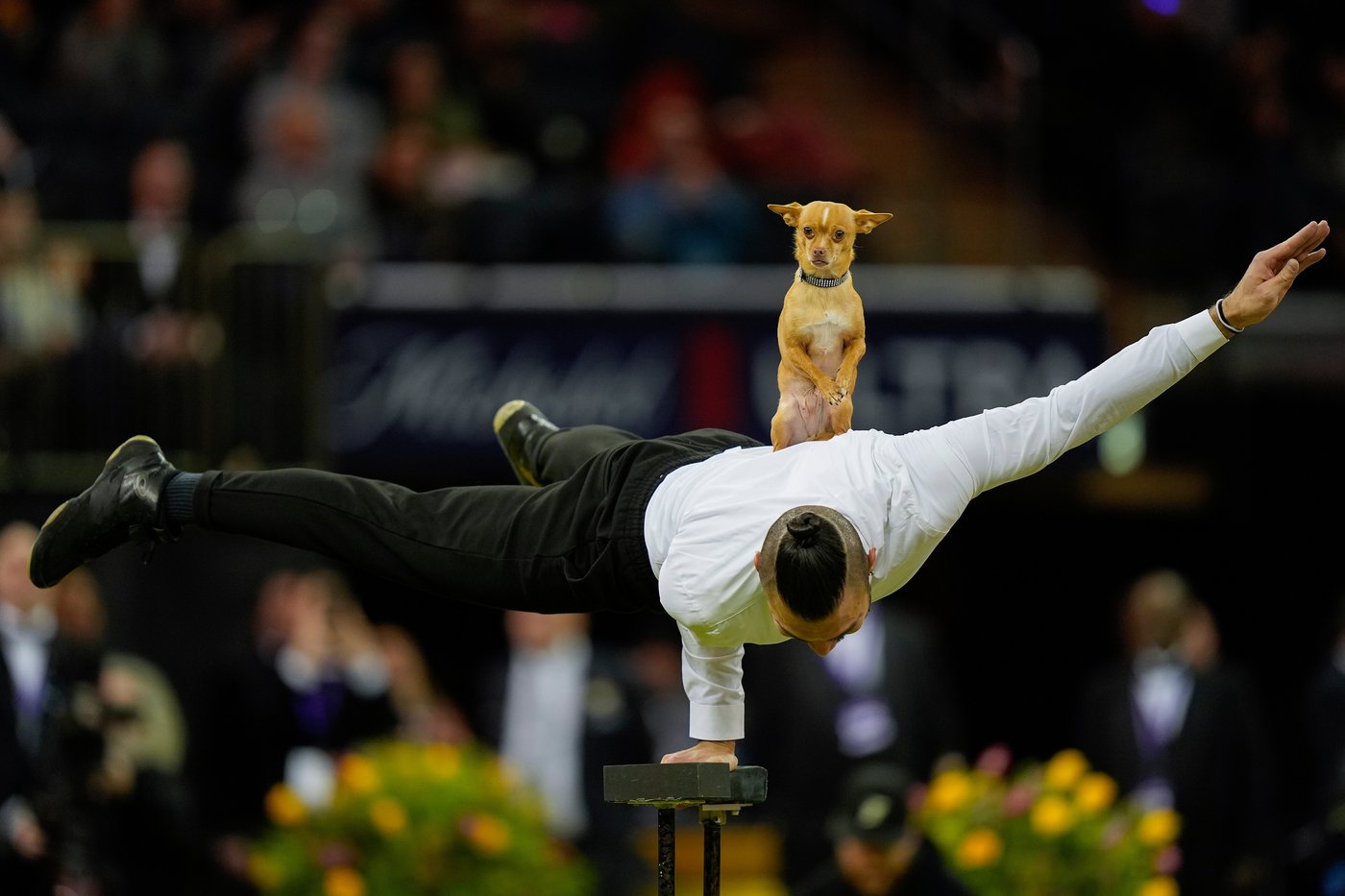 The top photos of the week by AP photojournalists | iNFOnews.ca