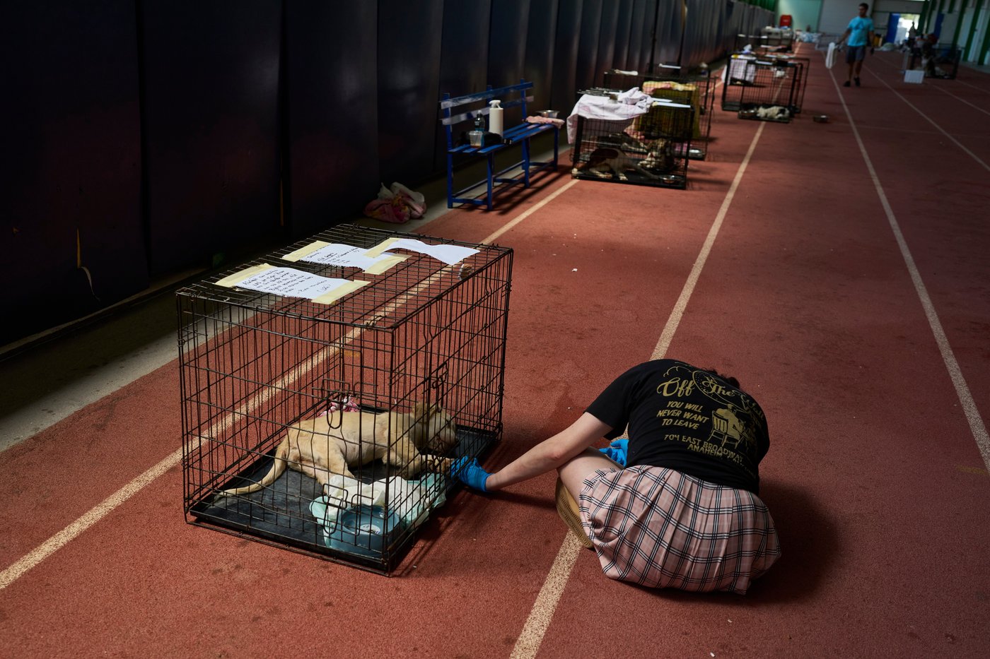 Wildfire near Athens leaves rescuers scrambling to reunite hundreds of animals | iNFOnews.ca