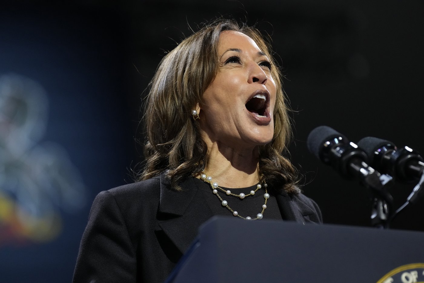 Harris zeros in on Black men, Trump focuses on women as both seek to fire up key voting blocs | iNFOnews.ca