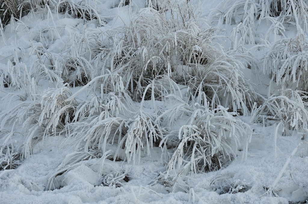 iN PHOTOS: Patterns in the ice during a mild Southern Interior winter | iNFOnews.ca