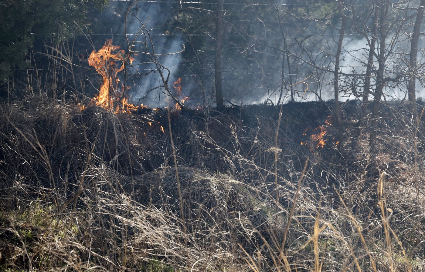 As Oklahoma reels from deadly wildfires, authorities warn of fresh fire threat | iNFOnews.ca