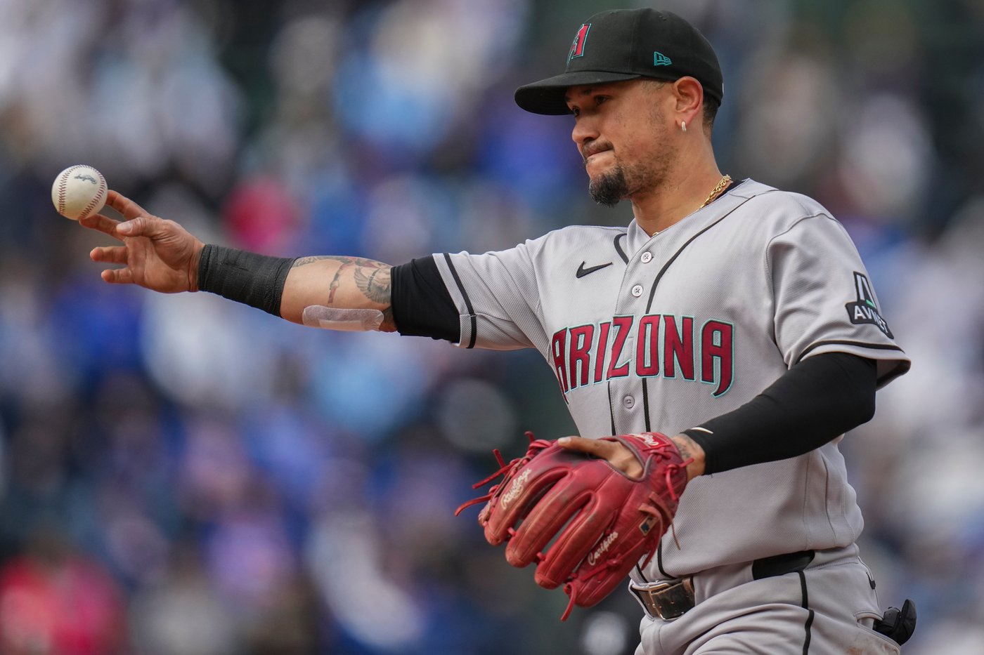 Arizona's Ildemaro Vargas sets record for Venezuela-born player with a 27-game hit streak | iNFOnews.ca Arizona's Ildemaro Vargas sets record for Venezuela-born player with a 27-game hit streak | iNFOnews.ca