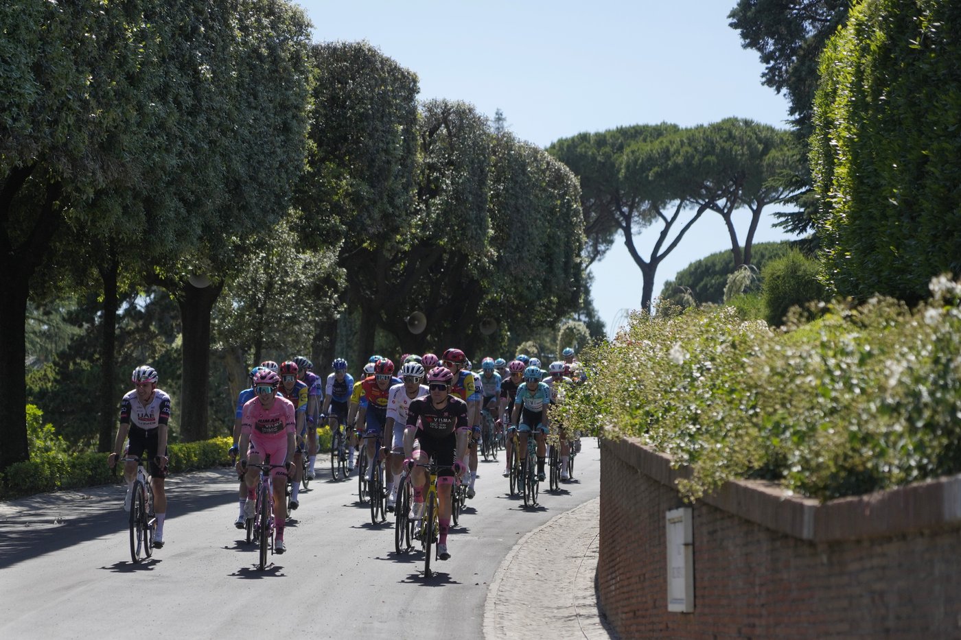 Pope Leo XIV blesses cyclists competing in the Giro d'Italia as final stage enters Vatican gardens | iNFOnews.ca