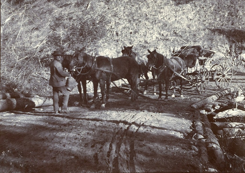 iN PHOTOS: Historic gold panning in Princeton | iNFOnews.ca