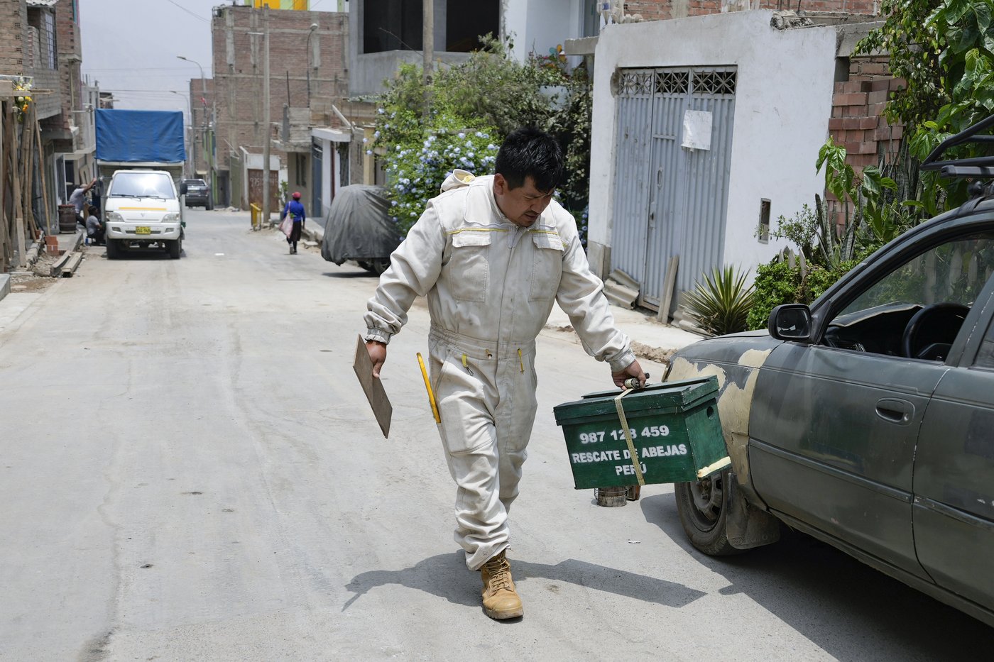 Bee 'rescuer' in Peruvian capital plies his trade with passion, free of charge | iNFOnews.ca