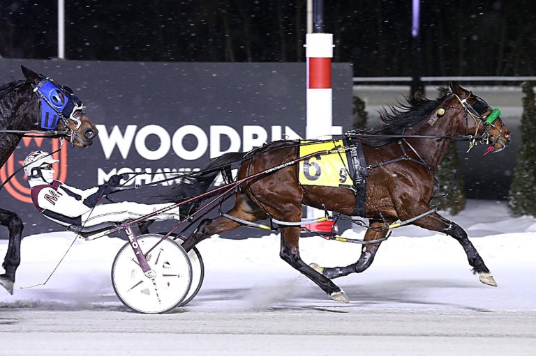 Veteran harness driver Doug McNair earns 5,000th career racing victory | iNFOnews.ca