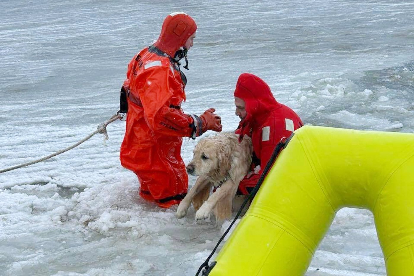 Rhode Island firefighters rescue a yellow Lab from an icy pond on New Year's Day | iNFOnews.ca