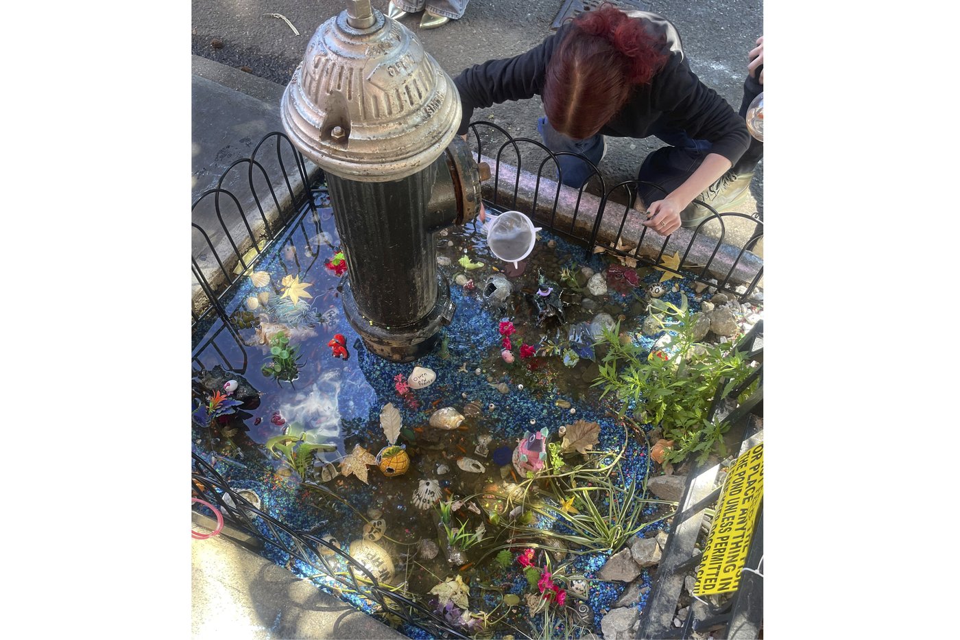An abrupt goodbye to a guerilla goldfish aquarium beneath a leaky Brooklyn fire hydrant | iNFOnews.ca