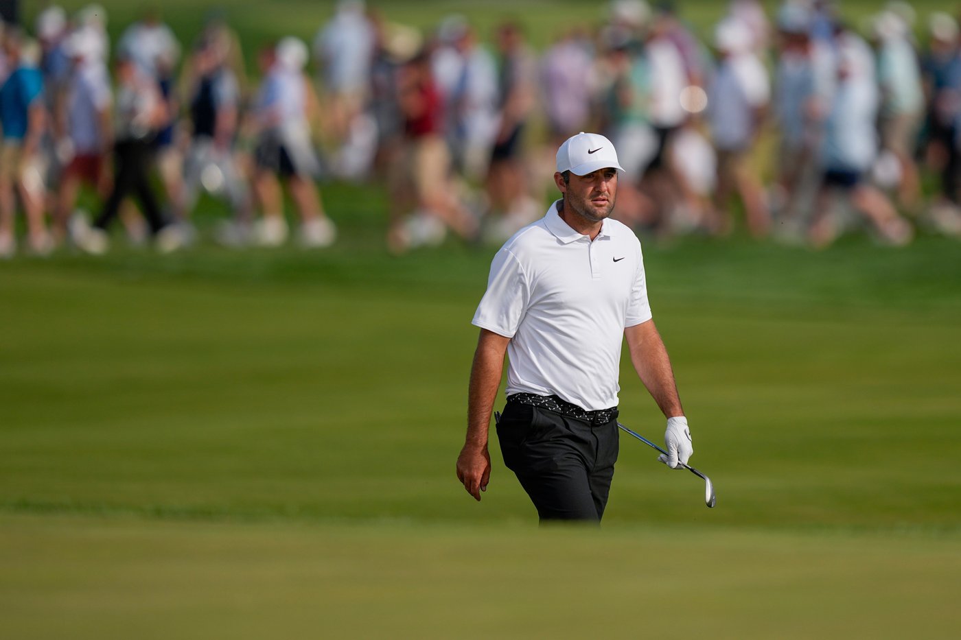 Scheffler’s putter goes cold, forcing big comeback for shot at 2nd straight PGA Championship | iNFOnews.ca Scheffler’s putter goes cold, forcing big comeback for shot at 2nd straight PGA Championship | iNFOnews.ca