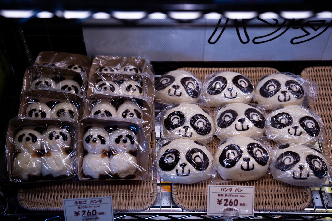 Photos shows Japan's love of pandas as twins Xiao Xiao and Lei Lei return to China | iNFOnews.ca