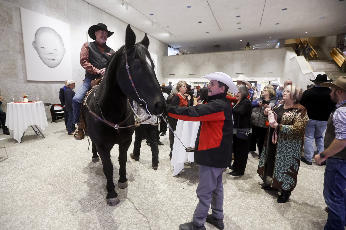 Photo Gallery: Grey Cup horse Tuffy Nuff arrives in Winnipeg | iNFOnews.ca