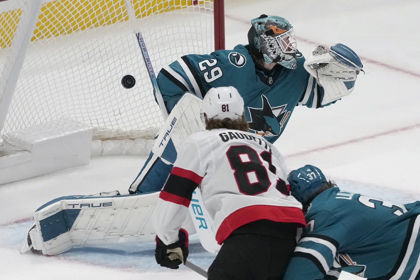 Gaudette scores go-ahead goal as Senators beat Sharks 4-3 with only 11 shots on goal | iNFOnews.ca Gaudette scores go-ahead goal as Senators beat Sharks 4-3 with only 11 shots on goal | iNFOnews.ca