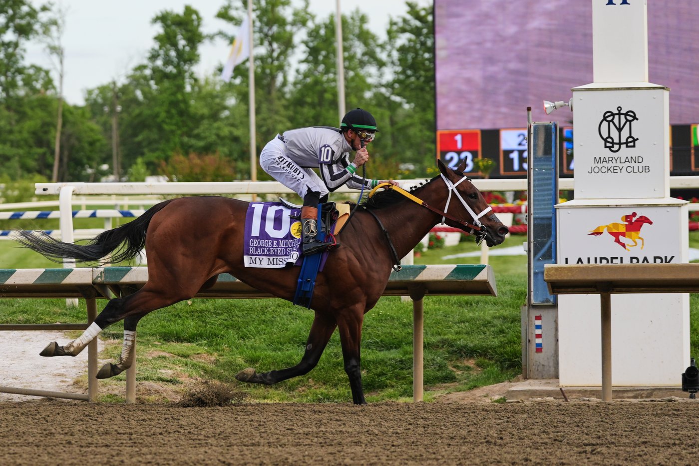My Miss Mo holds on to win the Black-Eyed Susan by 1 3/4 lengths over Jumping the Gun | iNFOnews.ca My Miss Mo holds on to win the Black-Eyed Susan by 1 3/4 lengths over Jumping the Gun | iNFOnews.ca