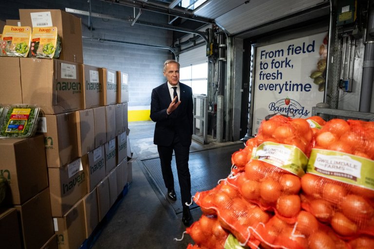 Carney announces national food security strategy meant to expand choice, lower prices | iNFOnews.ca