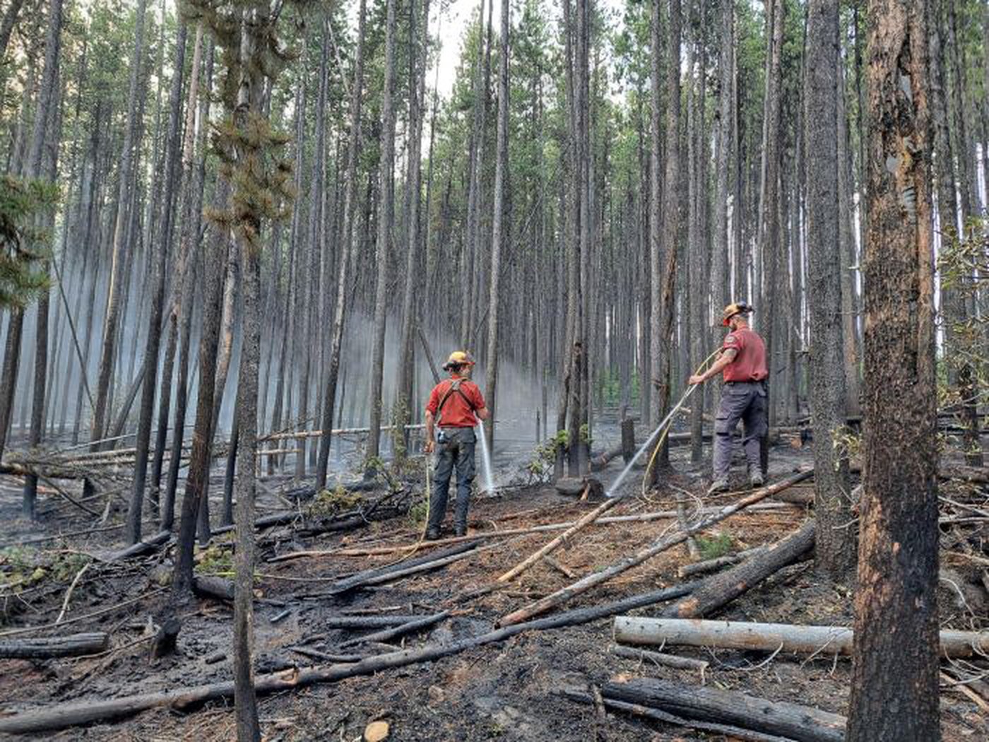 Evacuation alert ends in Boston Bar, B.C., after weeks of threat from wildfire | iNFOnews.ca Evacuation alert ends in Boston Bar, B.C., after weeks of threat from wildfire | iNFOnews.ca