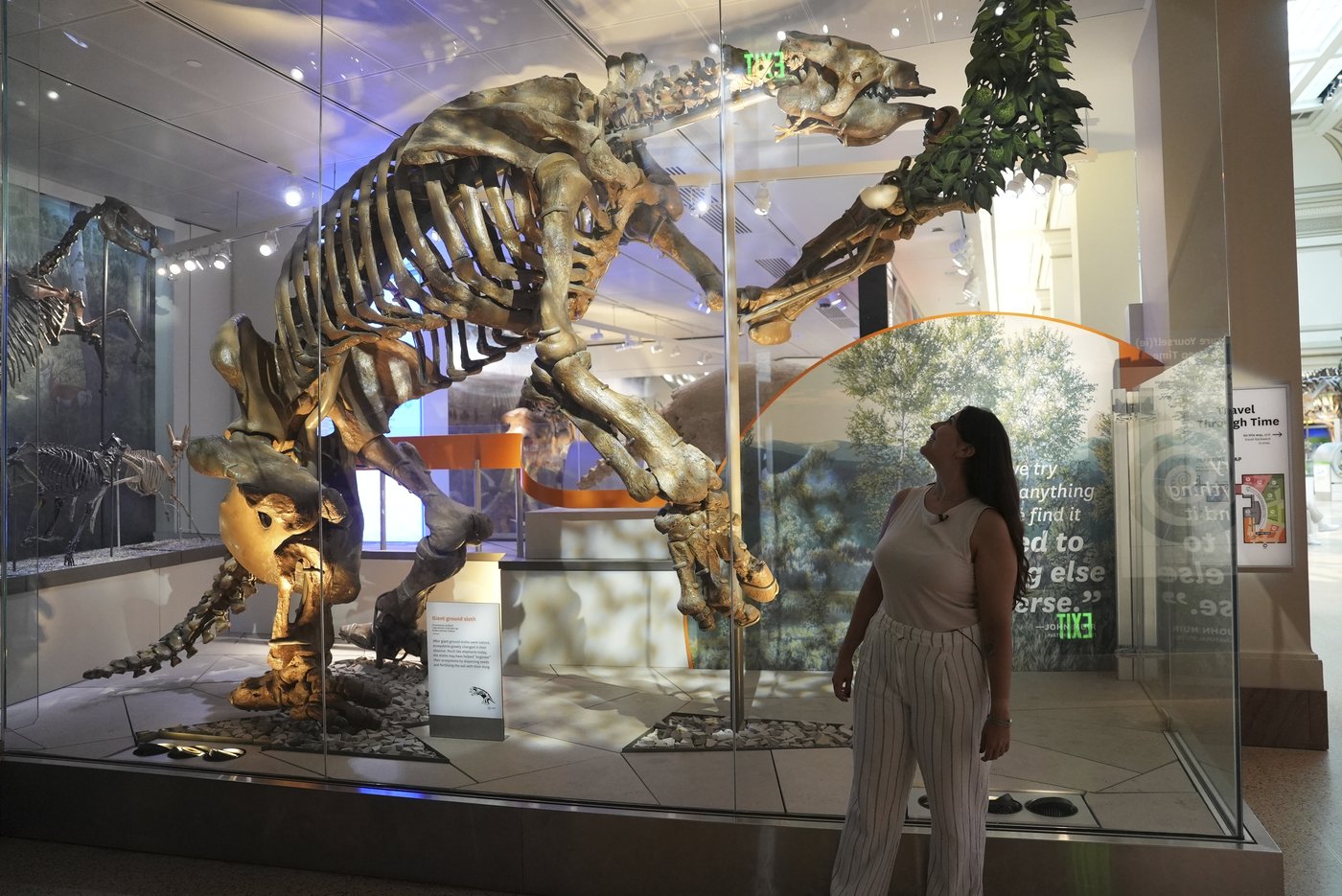 Giant sloths and mastodons coexisted with humans for millennia in Americas, new discoveries suggest | iNFOnews.ca Giant sloths and mastodons coexisted with humans for millennia in Americas, new discoveries suggest | iNFOnews.ca