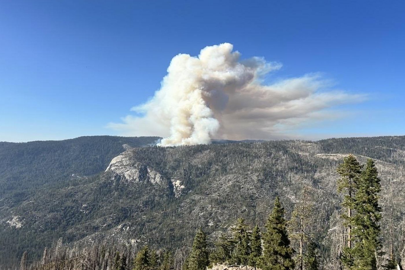 Firefighting helicopter crashes near Yosemite, killing both pilots | iNFOnews.ca