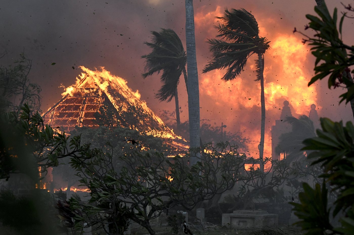 Hawaii attorney general investigation into deadly Lahaina wildfire won't lead to criminal charges | iNFOnews.ca Hawaii attorney general investigation into deadly Lahaina wildfire won't lead to criminal charges | iNFOnews.ca