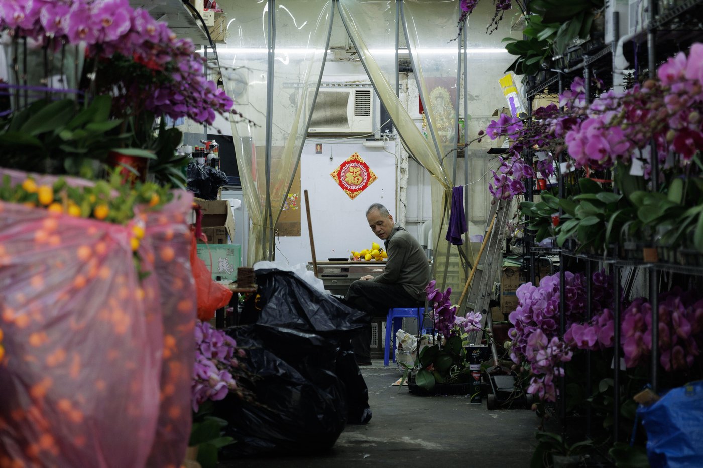Photos follow the color red through public and intimate spaces during the Lunar New Year | iNFOnews.ca