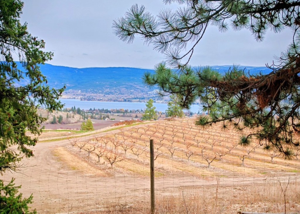 iN PHOTOS: A stroll through the historic Summerland Ornamental Gardens | iNFOnews.ca