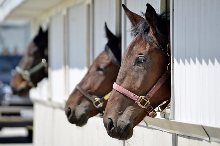 Apex upsets Endurance to win record-breaking Mohawk Million | iNFOnews.ca