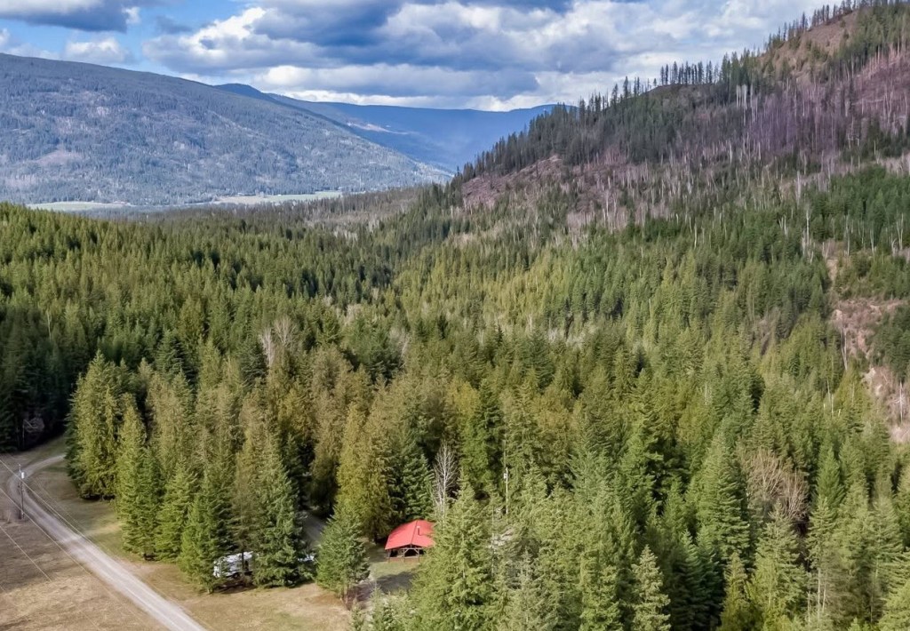 New, local ownership turning Cherryville wilderness camp into tourist destination | iNFOnews.ca